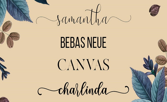 Textos Bonitos Online